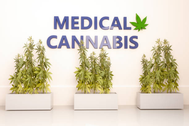 Medical Cannabis - CBD elements in marijuana cannabinol stock pictures, royalty-free photos & images