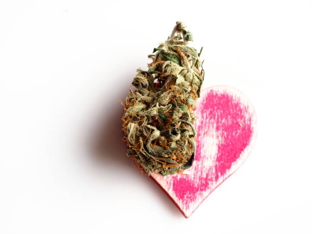medical cannabis heart symbol of health and love stock photo