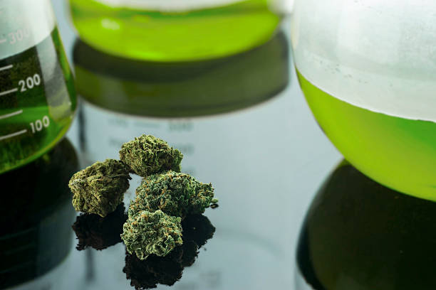 medical cannabis - marihuana gedroogde cannabis stockfoto's en -beelden