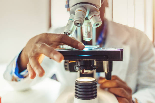 medizinisches labor, wissenschaftler hände mit mikroskop für die chemie - mikroskop stock-fotos und bilder
