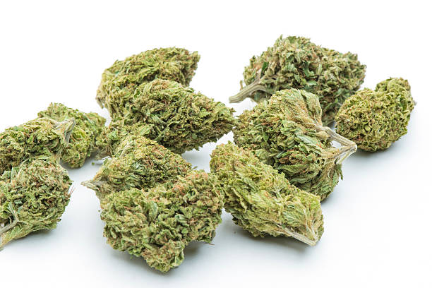 medical marijuana, dried and ready for use - marihuana gedroogde cannabis stockfoto's en -beelden