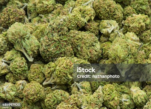istock Medical marijuana, dried and ready for use 484997920
