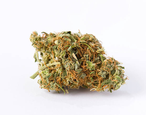 medical marijuana - knop plant stage stockfoto's en -beelden