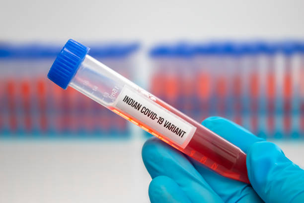 A medical Worker holding a centrifuge tubes with graduated marks with a Covid-19 Indian variant virus sample. Concept: Lineage B.1.617, Double mutation  covid variant stock pictures, royalty-free photos & images