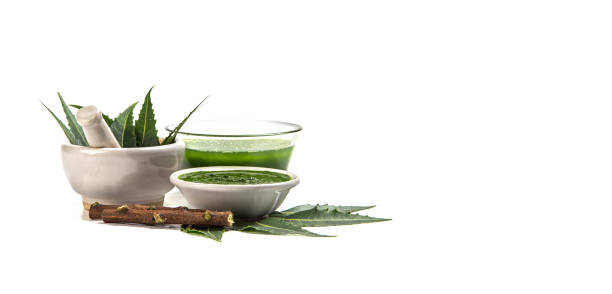 Medicinal Neem leaves in mortar and pestle with neem paste, juice and twigs on white background stock photo