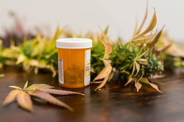 Medicine bottle filled with medical marijuana ready for patient pickup Medicine bottle filled with medical marijuana ready for patient pickup medical cannabis photos stock pictures, royalty-free photos & images