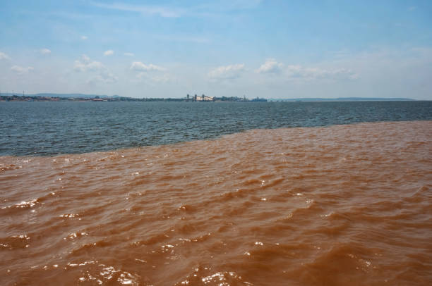 Meeting of the waters of the Rio Negro and Rio Solimoes Rivers in front of Manaus port in Brazil. stock photo