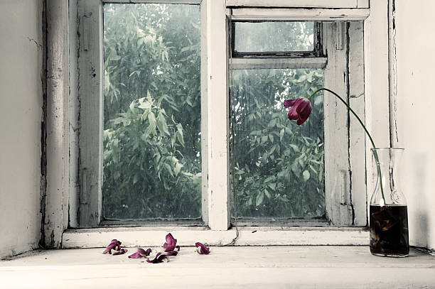 96 The Withering Flowers On A Window Sill Stock Photos, Pictures & Royalty-Free Images - iStock
