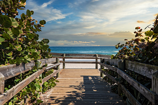 Walking Platform To The Beach In Melbourne Florida