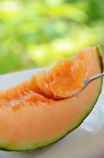 melon for dessert stock photo