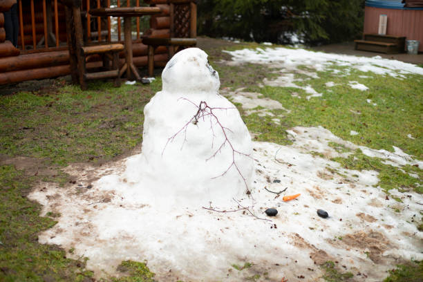 Melting Snowman Outside a Log Cabin A melting snowman can be seen outside of a log cabin. The eyes and carrot nose can be seen on the ground next to it. melting snow man stock pictures, royalty-free photos & images