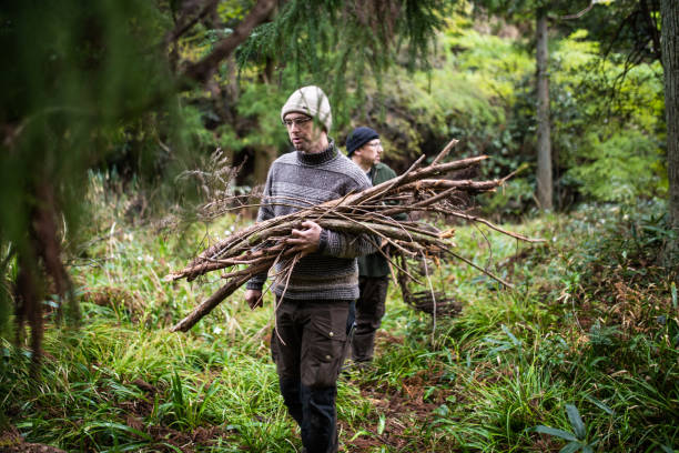 Men collecting wood for a camp fire Men in outdoors clothing collecting sticks and bringing them back to camp to make a fire. bushcraft stock pictures, royalty-free photos & images