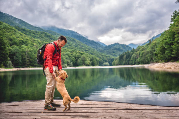 Men with a dog standing on pier by the lake Men with a small yellow dog standing on pier by the mountain lake national dog day stock pictures, royalty-free photos & images