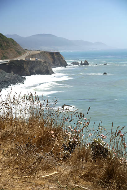 Mendocino California  coast stock photo