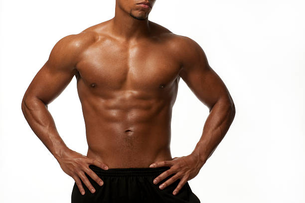 men's torso stock photo