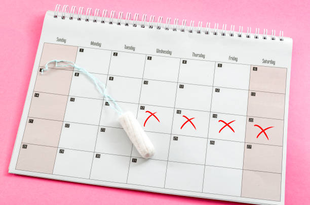 Menstrual cycle, feminine care, menstruation and intimate products concept with internal tampon next to a calendar isolated on pink background Menstrual cycle, feminine care, menstruation and intimate products concept with internal tampon next to a calendar isolated on pink background menstruation photos stock pictures, royalty-free photos & images