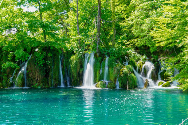 A mesmerizing view of plitvice lakes national park in croatia breathtaking view A mesmerizing view of plitvice lakes national park in croatia breathtaking view
D.H waterfalls stock pictures, royalty-free photos & images