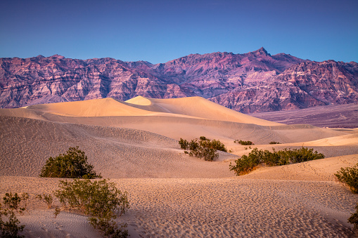 Windswept landscape of Mesquite Flat Dunes, Death Valley National Park, at sunset with a clear sky.