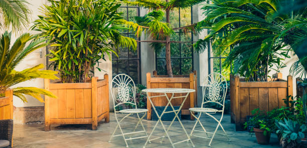 Metal garden furniture, stools and table standing in tropical plants orangery with palms in wooden flowerbeds. Relaxing time in biophilic interior style. Greenhouse cafe. Wide banner. Copy space. Metal garden furniture, stools and table standing in tropical plants orangery with palms in wooden flowerbeds. Relaxing time in biophilic interior style. Greenhouse cafe. Wide banner. Copy space greenhouse table stock pictures, royalty-free photos & images