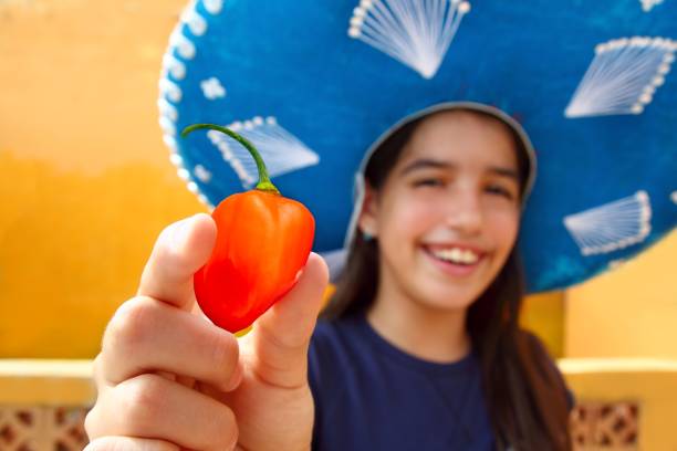 Mexican girl  habanero orange hot chili pepper Mexican girl show habanero orange hot chili pepper mexican hat hot mexican girls stock pictures, royalty-free photos & images