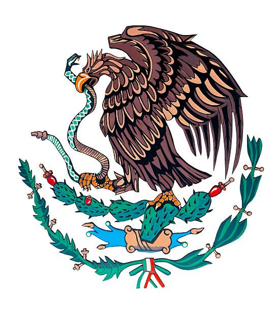 Royalty Free Mexican Eagle Pictures, Images and Stock Photos iStock
