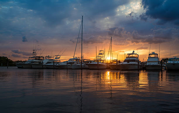 Miami marina Miami marina at sunset marina stock pictures, royalty-free photos & images