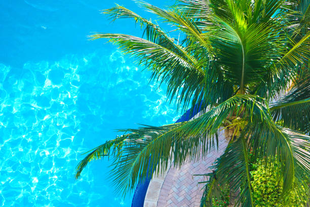 Miami Poolside stock photo