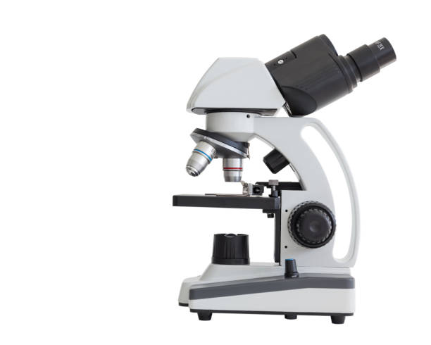 mikroskop isoliert auf weißem hintergrund und kopierraum für text oder mehr. - mikroskop stock-fotos und bilder