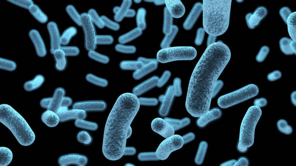 mikroskopisch blauer bakterienhintergrund - bakterie stock-fotos und bilder