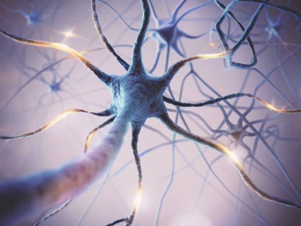 Microscopic of Neural network Brain cells. stock photo