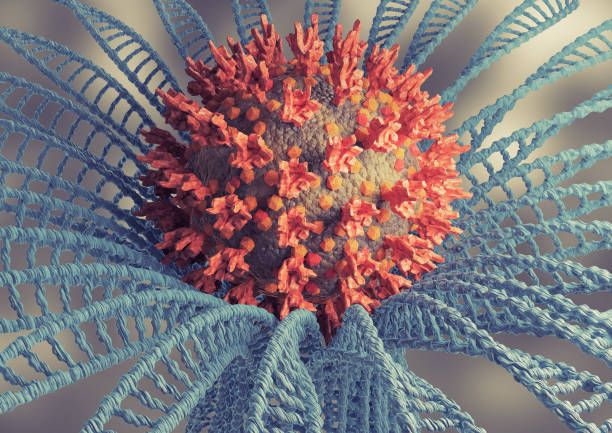 현미경 보기 코로나바이러스 오미크론 변이체 또는 b.1.1.529 - omicron 뉴스 사진 이미지