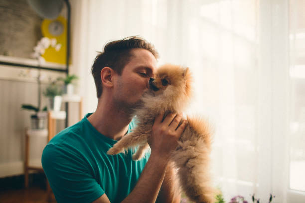 Mid Adult Man And His Dog stock photo
