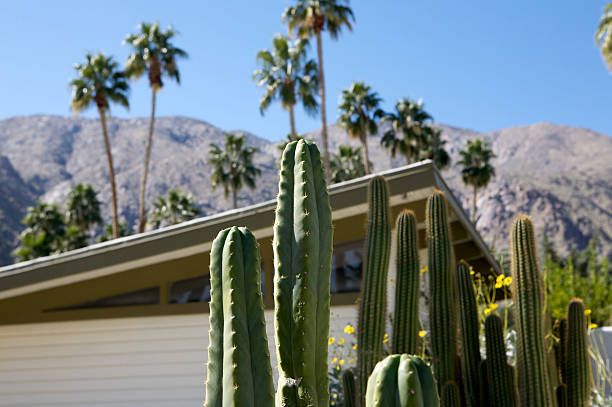 mid-century desert home "palm springs home surround by cactus, palm trees and mountains." palm springs california stock pictures, royalty-free photos & images