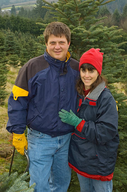 Middle aged couple search for the perfect Christmas tree to cut down...
