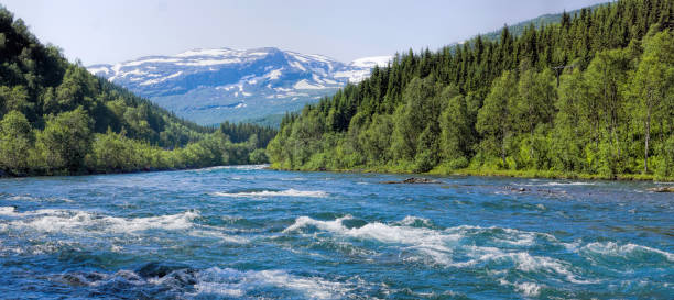 Mighty river in wilderness area of Norther Norway Mighty river in wilderness area of Norther Norway rapids river stock pictures, royalty-free photos & images