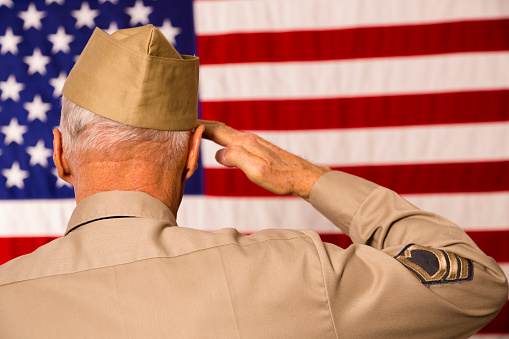 Usa Flag Veterans SVG File