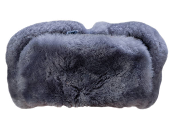A szovjet hadsereg katonai stílusú ushanka-ja stock fotó
