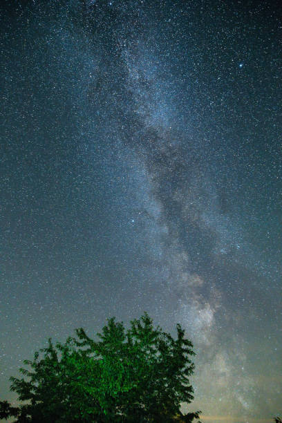 Milky Way Night Sky over Tree stock photo