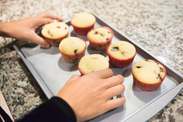 Millennial Hispanic Woman Arranging Baked Cupcakes at Home Orlando USA This is a color, royalty free photograph of a young 20 year old Millennial woman baking cupcakes from scratch at home in the kitchen in Orlando, Florida, USA hot puerto rican woman stock pictures, royalty-free photos & images