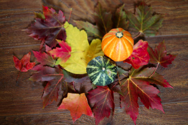 Mini Gourds and Autumn leaves stock photo