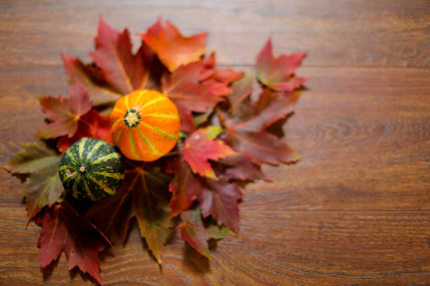 Mini Gourds and Autumn leaves stock photo