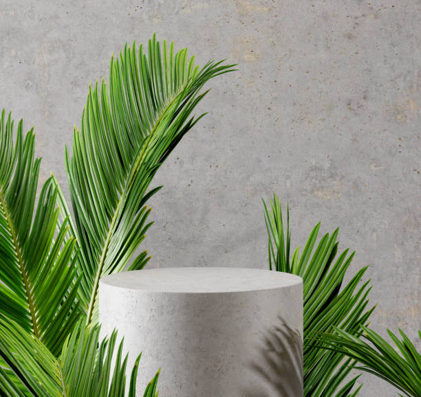 Minimal concrete podium display surrounding with palm leaves. Abstract background. 3D render. stock photo