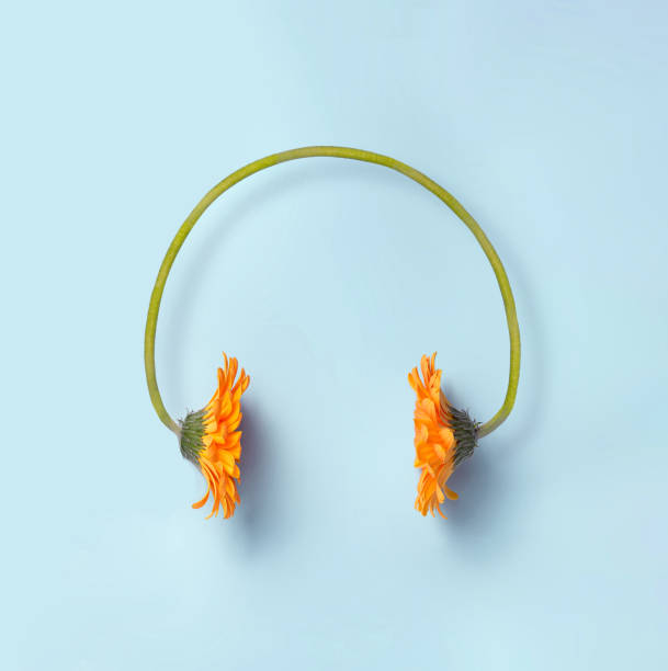 Minimal spring flower and music concept stock photo