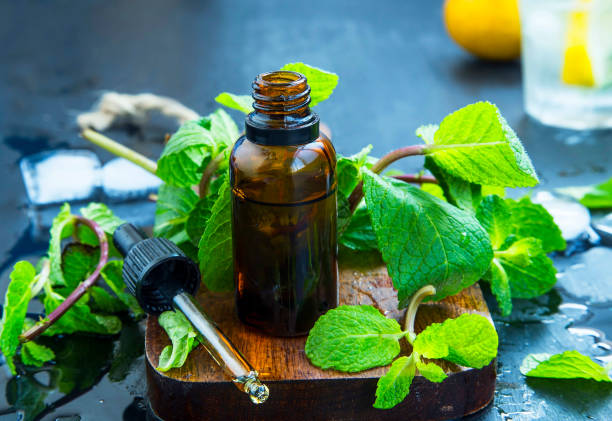 Mint essential oil in bottle .Fresh peppermint leaves with essential oil, alternative medicine stock photo
