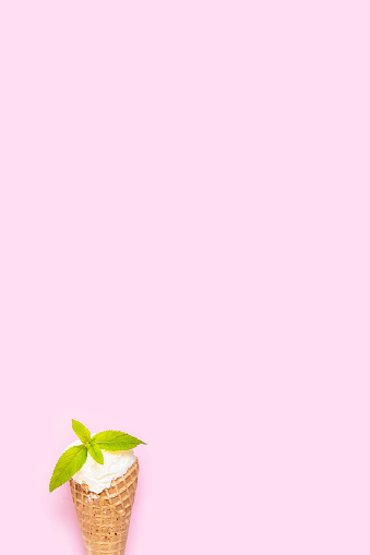 Vanilla ice cream cone with mint on pink background. Copy space. Minimal summer background.