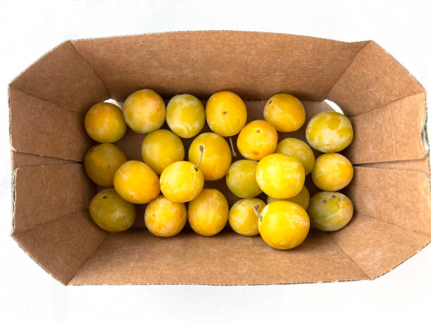mirabelle plums in box stock photo