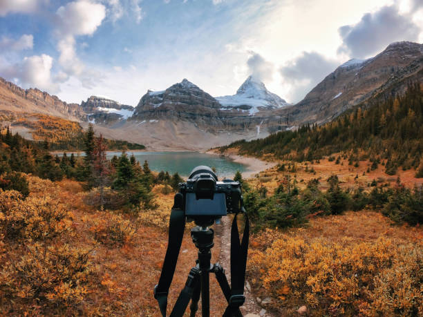 Mirrorless camera on tripod standing in autumn forest with mount Assiniboine in national park stock photo