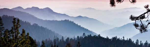 Mist on the panoramic Sierra Nevada Mountains Trees and mist in the green forest of Stanislaus National Forest from Yosemite National Park californian sierra nevada stock pictures, royalty-free photos & images