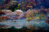 istock Misty Chupungnyeong Reservoir 2 VH504 1067831766