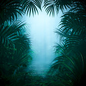 istock Misty jungle nature frame 1330061203